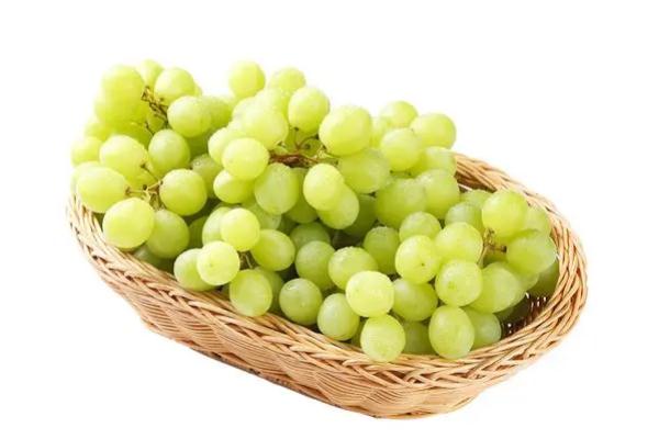 吃青提有什么好處 吃青提會發(fā)胖嗎 吃青提有什么好處 吃青提會發(fā)胖嗎