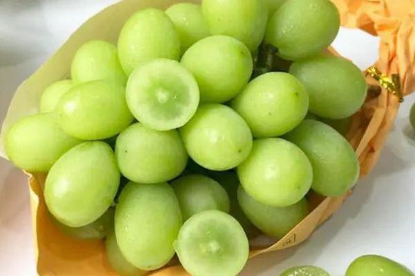 青提孕婦能吃嗎 青提孕婦吃了好不好 青提孕婦能吃嗎 青提孕婦吃了好不好