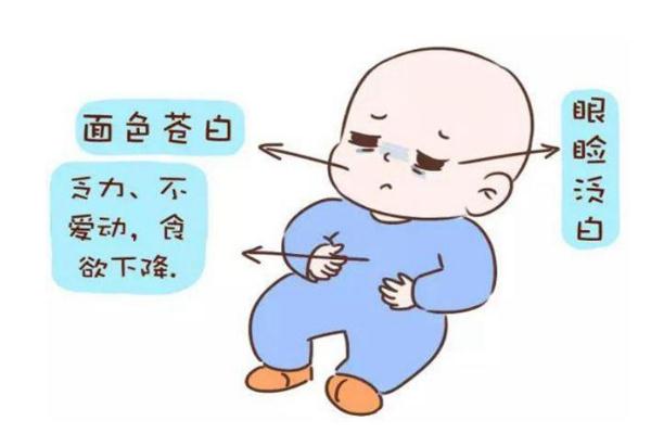 嬰兒缺鐵的表現(xiàn)與癥狀 嬰兒缺鐵怎么補(bǔ) 嬰兒缺鐵的表現(xiàn)與癥狀 嬰兒缺鐵怎么補(bǔ)