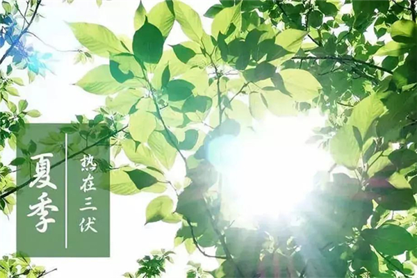 三伏天怎么排濕排寒最好 三伏天怎么調(diào)理身子 三伏天怎么排濕排寒最好 三伏天怎么調(diào)理身子