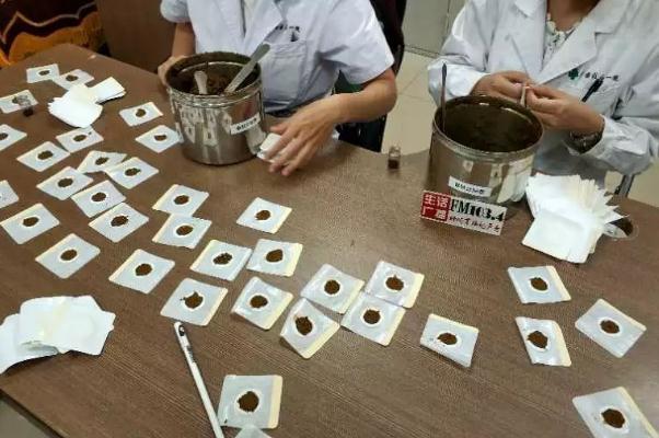 三九貼真的有效嗎 三九貼必須當天貼嗎 三九貼真的有效嗎 三九貼必須當天貼嗎