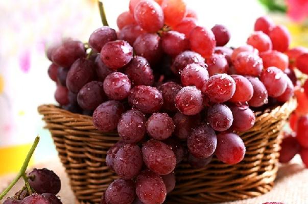 吃紅提對身體有什么好處 吃提子的好處是什么 吃紅提對身體有什么好處 吃提子的好處是什么