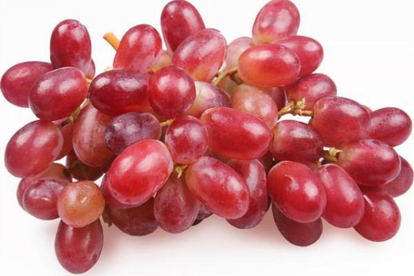 紅提孕婦能吃嗎 紅提孕婦可以多吃嗎 紅提孕婦能吃嗎 紅提孕婦可以多吃嗎