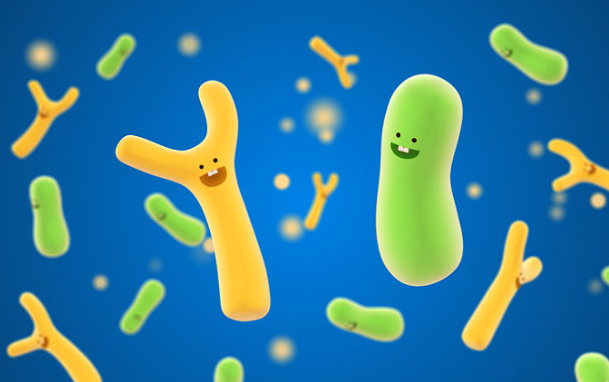 益生菌和乳酸菌的區(qū)別 益生菌和益生元有什么區(qū)別 益生菌和乳酸菌的區(qū)別 益生菌和益生元有什么區(qū)別