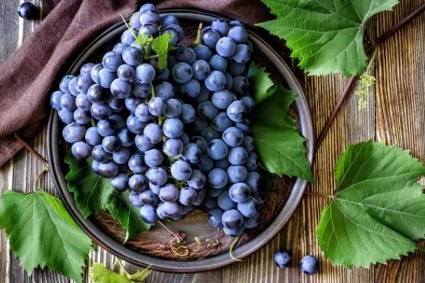 巨峰葡萄對孕婦有什么好處 巨峰葡萄對孕婦的價值 巨峰葡萄對孕婦有什么好處 巨峰葡萄對孕婦的價值