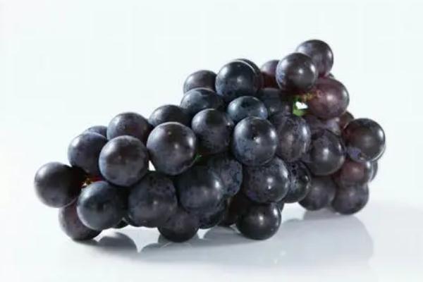 巨峰葡萄可以放冰箱嗎 巨峰葡萄如何保存時(shí)間長(zhǎng)一點(diǎn) 巨峰葡萄可以放冰箱嗎 巨峰葡萄如何保存時(shí)間長(zhǎng)一點(diǎn)