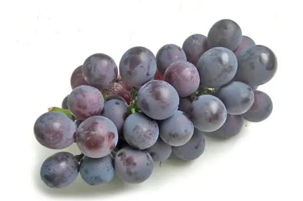 巨峰葡萄孕婦血糖有點高可以吃嗎 孕婦吃葡萄的注意事項 巨峰葡萄孕婦血糖有點高可以吃嗎 孕婦吃葡萄的注意事項