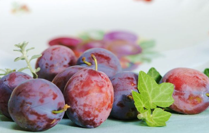 吃李子為什么不能喝水 脾胃虛弱的人能吃李子嗎 吃李子為什么不能喝水 脾胃虛弱的人能吃李子嗎