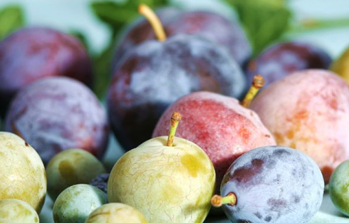 李子增肥還是減肥 痛風(fēng)能吃李子嗎 李子增肥還是減肥 痛風(fēng)能吃李子嗎