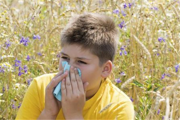 過敏性鼻炎對(duì)身體有什么危害 過敏性鼻炎有哪些東西不能吃 過敏性鼻炎對(duì)身體有什么危害 過敏性鼻炎有哪些東西不能吃