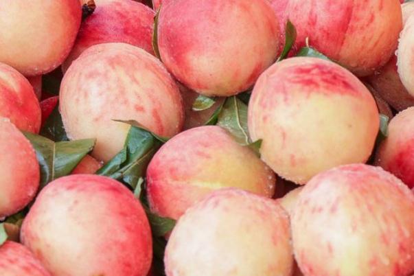 桃子要放冰箱儲存嗎 桃子要去皮去吃嗎 桃子要放冰箱儲存嗎 桃子要去皮去吃嗎