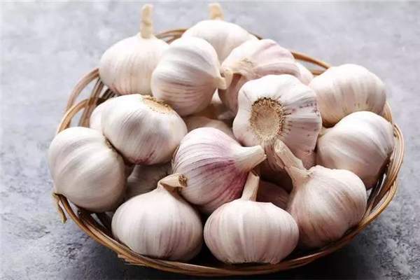 大蒜對(duì)肝臟有傷害嗎 大蒜對(duì)痛風(fēng)有影響嗎 大蒜對(duì)肝臟有傷害嗎 大蒜對(duì)痛風(fēng)有影響嗎