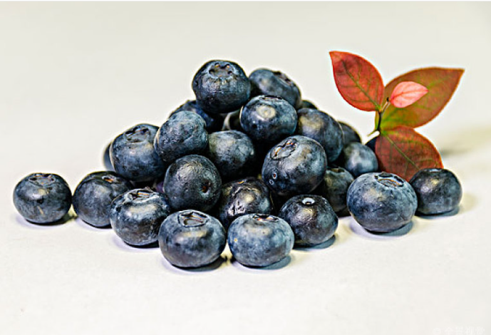 藍(lán)莓含糖量高嗎 藍(lán)莓可以一天吃一盒嗎 藍(lán)莓含糖量高嗎 藍(lán)莓可以一天吃一盒嗎