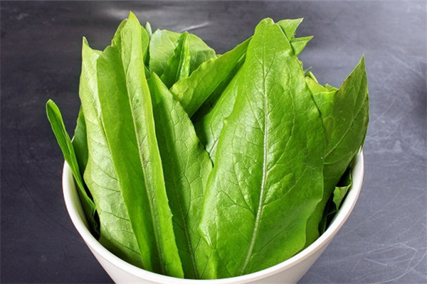 油麥菜對(duì)胃好嗎 油麥菜對(duì)便秘有好處嗎 油麥菜對(duì)胃好嗎 油麥菜對(duì)便秘有好處嗎