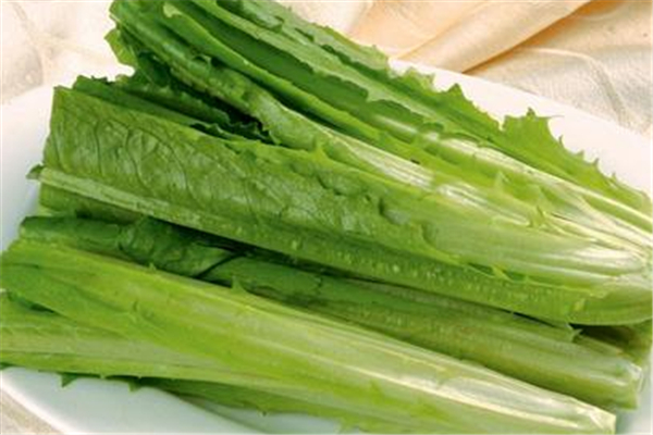 油麥菜孕婦可以吃嗎 油麥菜對孕婦有什么好處 油麥菜孕婦可以吃嗎 油麥菜對孕婦有什么好處