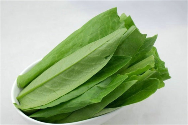 油麥菜生吃好嗎 油麥菜生吃好還是熟吃好 油麥菜生吃好嗎 油麥菜生吃好還是熟吃好