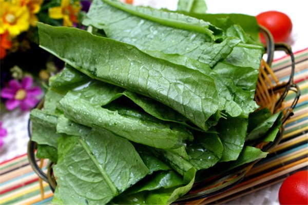 油麥菜有農(nóng)藥殘留嗎 油麥菜怎么清洗干凈 油麥菜有農(nóng)藥殘留嗎 油麥菜怎么清洗干凈