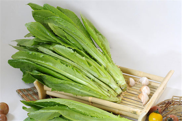 油麥菜生吃好嗎 油麥菜生吃好還是熟吃好 油麥菜生吃好嗎 油麥菜生吃好還是熟吃好