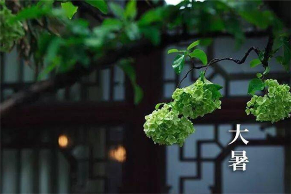 大暑吃什么食物養(yǎng)生 大暑吃羊肉有什么好處 大暑吃什么食物養(yǎng)生 大暑吃羊肉有什么好處