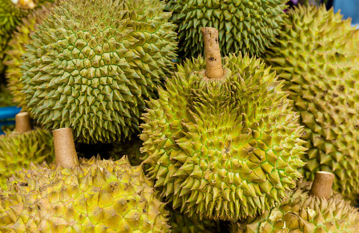 榴蓮沒開口是不是沒熟 榴蓮沒開口放幾天會(huì)自動(dòng)開口嗎 榴蓮沒開口是不是沒熟 榴蓮沒開口放幾天會(huì)自動(dòng)開口嗎