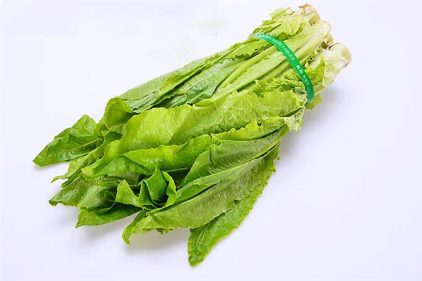 油麥菜炒出來怎么是苦的 油麥菜怎么做好吃 油麥菜炒出來怎么是苦的 油麥菜怎么做好吃