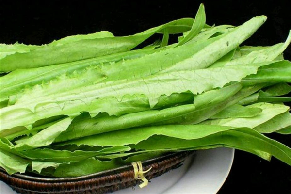 油麥菜有幾種品種 油麥菜哪種好吃 油麥菜有幾種品種 油麥菜哪種好吃
