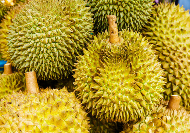 榴蓮沒開口是不是沒熟 榴蓮沒開口放幾天會(huì)自動(dòng)開口嗎 榴蓮沒開口是不是沒熟 榴蓮沒開口放幾天會(huì)自動(dòng)開口嗎