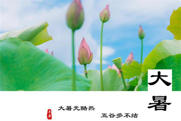 大暑的節(jié)氣含義是什么意思 大暑是什么季節(jié) 大暑的節(jié)氣含義是什么意思 大暑是什么季節(jié)