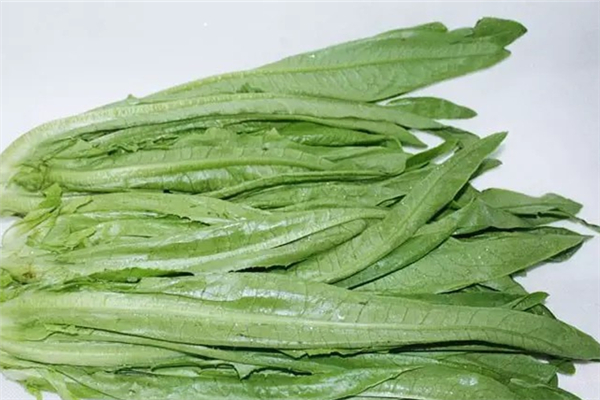 油麥菜有幾種品種 油麥菜哪種好吃 油麥菜有幾種品種 油麥菜哪種好吃