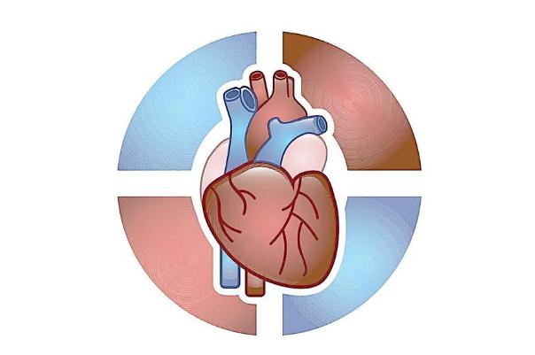 心臟病是冠心病嗎 心臟病有哪幾種 心臟病是冠心病嗎 心臟病有哪幾種