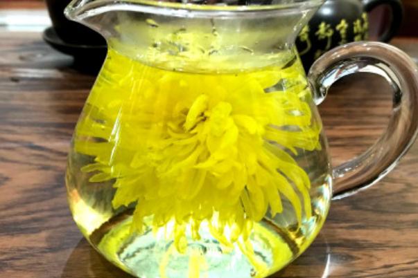 菊花茶是綠色的正常嗎 菊花茶最好現(xiàn)泡現(xiàn)喝 菊花茶是綠色的正常嗎 菊花茶最好現(xiàn)泡現(xiàn)喝