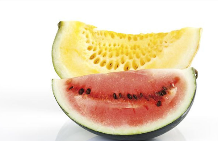 黃西瓜怎么種出來(lái)的 黃西瓜是轉(zhuǎn)基因西瓜嗎