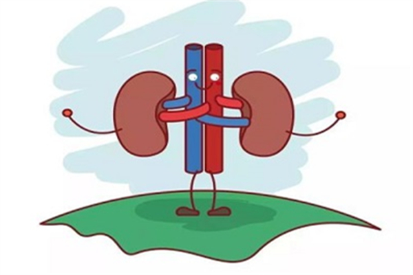 腎炎的癥狀是什么 腎炎是什么 腎炎的癥狀是什么 腎炎是什么