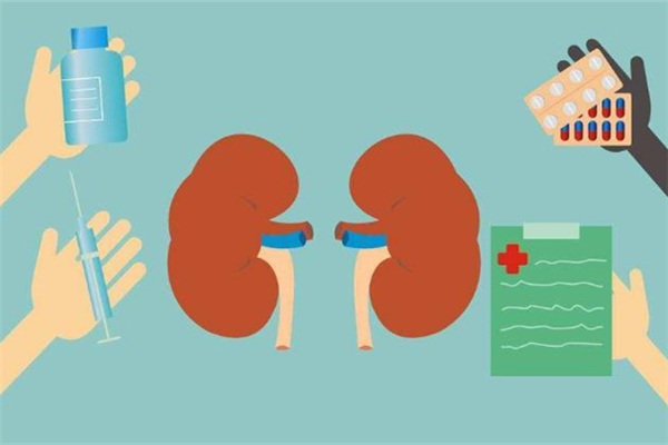 腎炎嚴(yán)重嗎 腎炎會(huì)導(dǎo)致什么后果 腎炎嚴(yán)重嗎 腎炎會(huì)導(dǎo)致什么后果