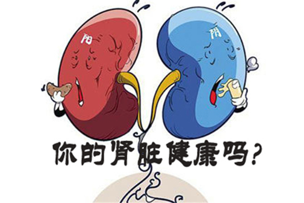 腎炎嚴(yán)重嗎 腎炎會(huì)導(dǎo)致什么后果 腎炎嚴(yán)重嗎 腎炎會(huì)導(dǎo)致什么后果