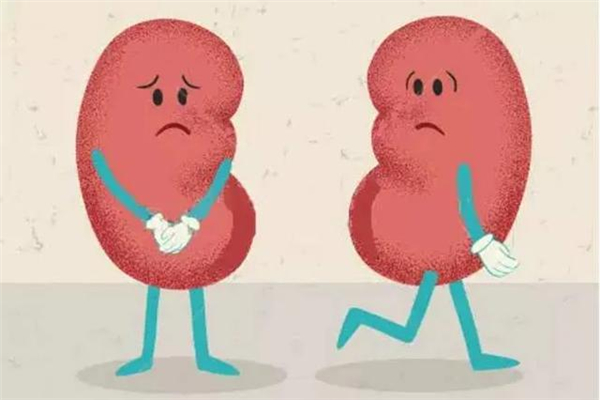 腎炎的癥狀是什么 腎炎是什么 腎炎的癥狀是什么 腎炎是什么