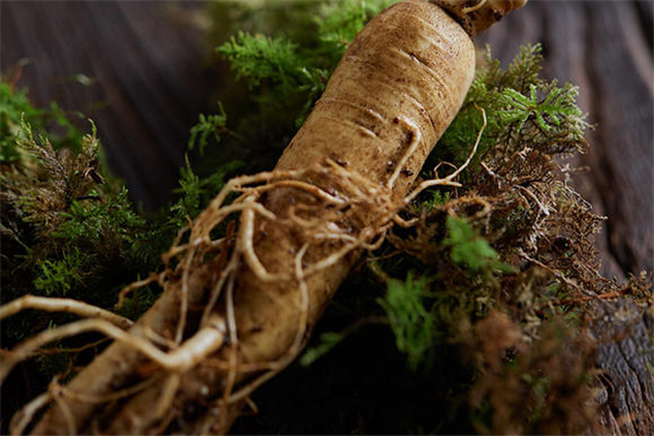 人參能泡酒喝嗎 人參泡酒的最佳配方 人參能泡酒喝嗎 人參泡酒的最佳配方