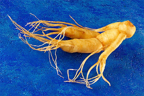 人參可以壯腎補陽嗎 人參怎么吃壯腎補陽 人參可以壯腎補陽嗎 人參怎么吃壯腎補陽