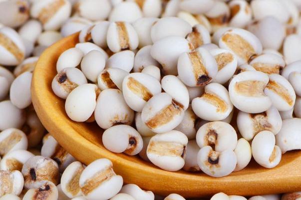 薏米的功效與作用 薏米泡水喝有什么功效 薏米的功效與作用 薏米泡水喝有什么功效