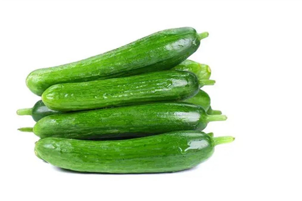 水果黃瓜怎么洗才干凈 水果黃瓜可以放冰箱冷藏嗎 水果黃瓜怎么洗才干凈 水果黃瓜可以放冰箱冷藏嗎