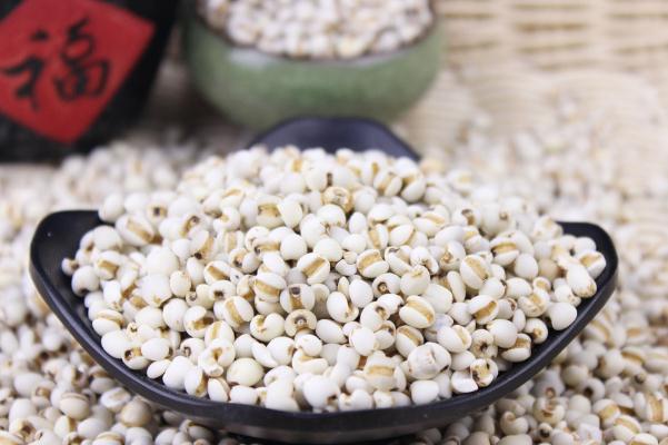 薏米可以減肥吃嗎 薏米和什么一起煮減肥 薏米可以減肥吃嗎 薏米和什么一起煮減肥