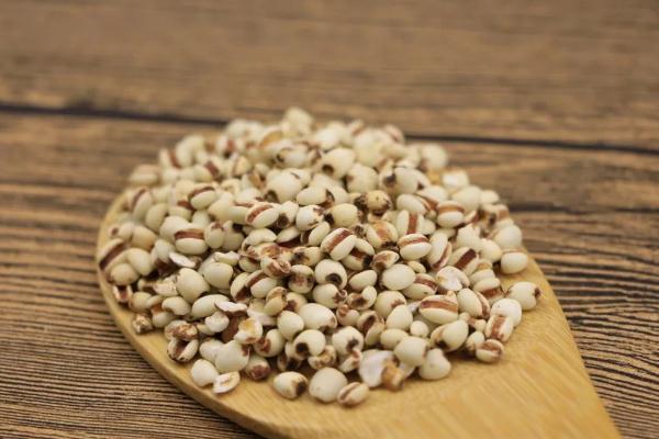 薏米可以減肥吃嗎 薏米和什么一起煮減肥 薏米可以減肥吃嗎 薏米和什么一起煮減肥