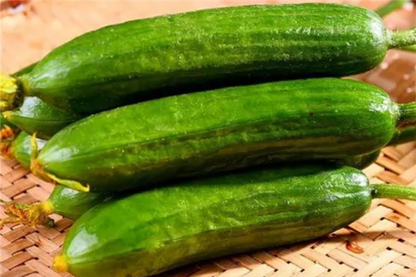 水果黃瓜怎么洗才干凈 水果黃瓜可以放冰箱冷藏嗎 水果黃瓜怎么洗才干凈 水果黃瓜可以放冰箱冷藏嗎