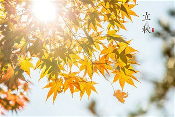 立秋需要吃西瓜嗎 立秋吃什么傳統(tǒng)食物 立秋需要吃西瓜嗎 立秋吃什么傳統(tǒng)食物