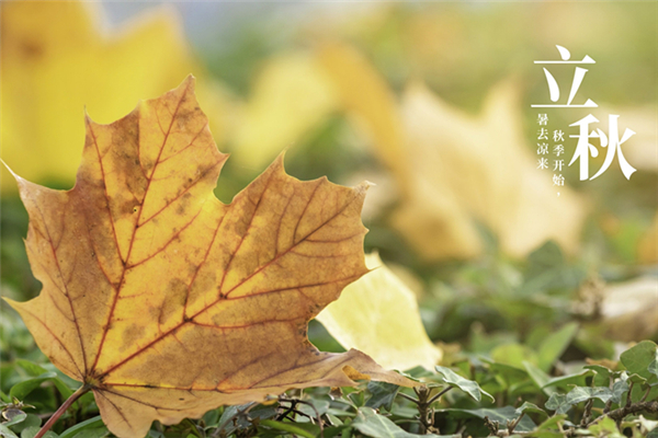 立秋之后還熱不熱了 立秋之后天氣還熱多久 立秋之后還熱不熱了 立秋之后天氣還熱多久