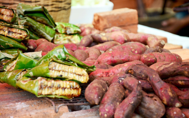 蜜薯的功效與作用 蜜薯是轉基因食品嗎 蜜薯的功效與作用 蜜薯是轉基因食品嗎
