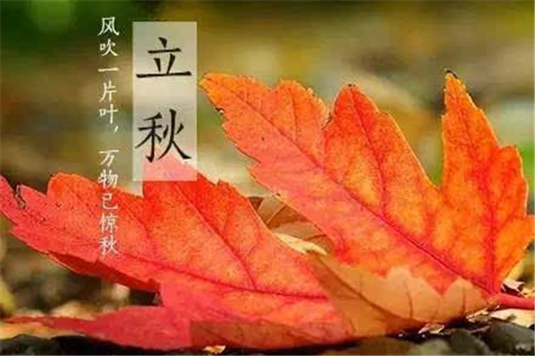 立秋需要吃西瓜嗎 立秋吃什么傳統(tǒng)食物 立秋需要吃西瓜嗎 立秋吃什么傳統(tǒng)食物