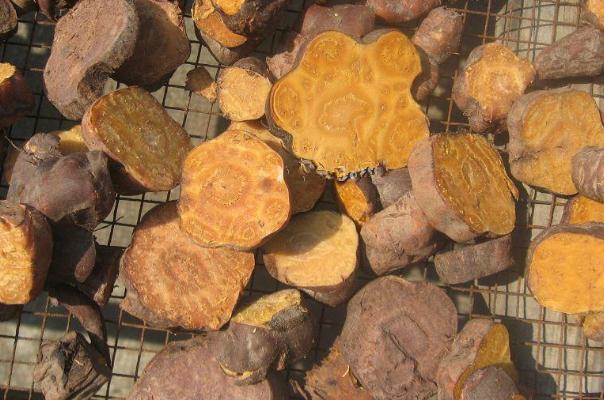 何首烏可以治療脫發(fā)嗎 何首烏可以生發(fā)嗎 何首烏可以治療脫發(fā)嗎 何首烏可以生發(fā)嗎