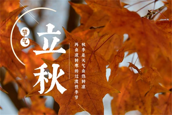 立秋有公秋母秋之分嗎 立秋公母是什么意思 立秋有公秋母秋之分嗎 立秋公母是什么意思