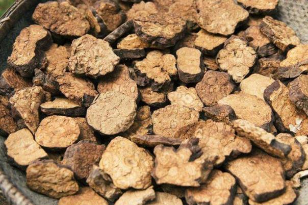 何首烏要怎么吃才能治白發(fā) 何首烏多少錢一斤 何首烏要怎么吃才能治白發(fā) 何首烏多少錢一斤